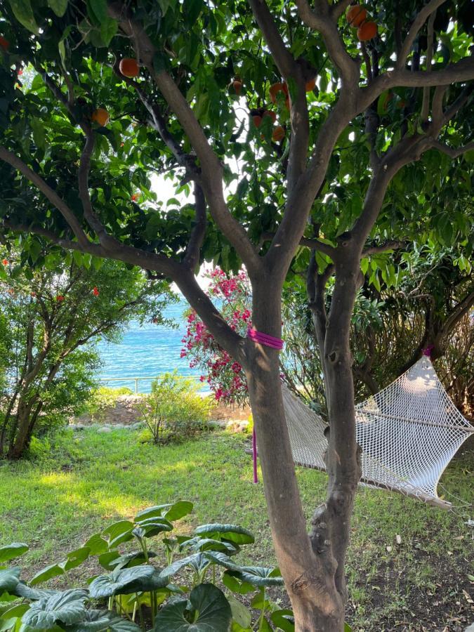 Nelinda Waterfront Accommodation Casamicciola Terme Εξωτερικό φωτογραφία